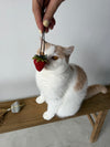 ( 3 COLOURS ) STRAWBERRY BAG CHARM